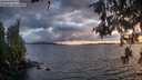 ./images/koeye/fitz-hugh/20260523/fitz-hugh20260523_211001M.jpg