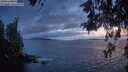 ./images/koeye/fitz-hugh/20260523/fitz-hugh20260523_220001M.jpg
