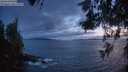 ./images/koeye/fitz-hugh/20260523/fitz-hugh20260523_220501M.jpg