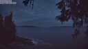 ./images/koeye/fitz-hugh/20260524/fitz-hugh20260524_043501M.jpg
