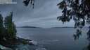 ./images/koeye/fitz-hugh/20260524/fitz-hugh20260524_051001M.jpg