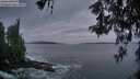 ./images/koeye/fitz-hugh/20260524/fitz-hugh20260524_051501M.jpg