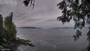 ./images/koeye/fitz-hugh/20260524/fitz-hugh20260524_053502M.jpg