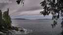 ./images/koeye/fitz-hugh/20260524/fitz-hugh20260524_055001M.jpg