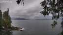 ./images/koeye/fitz-hugh/20260524/fitz-hugh20260524_064002M.jpg