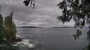 ./images/koeye/fitz-hugh/20260524/fitz-hugh20260524_071502M.jpg