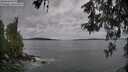 ./images/koeye/fitz-hugh/20260524/fitz-hugh20260524_075501M.jpg