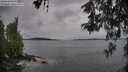 ./images/koeye/fitz-hugh/20260524/fitz-hugh20260524_080001M.jpg