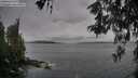 ./images/koeye/fitz-hugh/20260524/fitz-hugh20260524_082501M.jpg