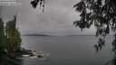 ./images/koeye/fitz-hugh/20260524/fitz-hugh20260524_084001M.jpg