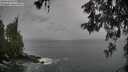 ./images/koeye/fitz-hugh/20260524/fitz-hugh20260524_093501M.jpg