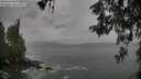 ./images/koeye/fitz-hugh/20260524/fitz-hugh20260524_094502M.jpg