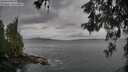 ./images/koeye/fitz-hugh/20260524/fitz-hugh20260524_101501M.jpg