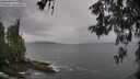 ./images/koeye/fitz-hugh/20260524/fitz-hugh20260524_120501M.jpg