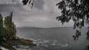 ./images/koeye/fitz-hugh/20260524/fitz-hugh20260524_123501M.jpg