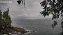 ./images/koeye/fitz-hugh/20260524/fitz-hugh20260524_132501M.jpg