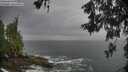 ./images/koeye/fitz-hugh/20260524/fitz-hugh20260524_134502M.jpg