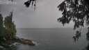 ./images/koeye/fitz-hugh/20260524/fitz-hugh20260524_174501M.jpg