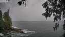./images/koeye/fitz-hugh/20260524/fitz-hugh20260524_175001M.jpg