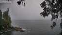 ./images/koeye/fitz-hugh/20260524/fitz-hugh20260524_175501M.jpg