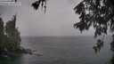 ./images/koeye/fitz-hugh/20260524/fitz-hugh20260524_195002M.jpg