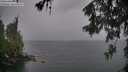 ./images/koeye/fitz-hugh/20260524/fitz-hugh20260524_195501M.jpg