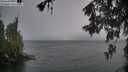 ./images/koeye/fitz-hugh/20260524/fitz-hugh20260524_204502M.jpg