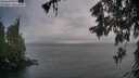 ./images/koeye/fitz-hugh/20260524/fitz-hugh20260524_210501M.jpg
