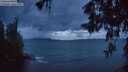 ./images/koeye/fitz-hugh/20260524/fitz-hugh20260524_220001M.jpg