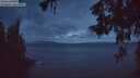 ./images/koeye/fitz-hugh/20260524/fitz-hugh20260524_221001M.jpg