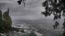 ./images/koeye/fitz-hugh/20260525/fitz-hugh20260525_063501M.jpg