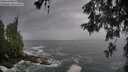 ./images/koeye/fitz-hugh/20260525/fitz-hugh20260525_064001M.jpg