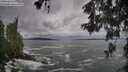 ./images/koeye/fitz-hugh/20260525/fitz-hugh20260525_083501M.jpg