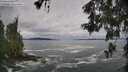 ./images/koeye/fitz-hugh/20260525/fitz-hugh20260525_084001M.jpg