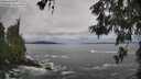 ./images/koeye/fitz-hugh/20260525/fitz-hugh20260525_085002M.jpg