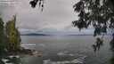 ./images/koeye/fitz-hugh/20260525/fitz-hugh20260525_090001M.jpg