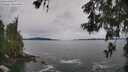 ./images/koeye/fitz-hugh/20260525/fitz-hugh20260525_095002M.jpg