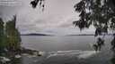 ./images/koeye/fitz-hugh/20260525/fitz-hugh20260525_100501M.jpg