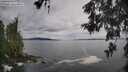 ./images/koeye/fitz-hugh/20260525/fitz-hugh20260525_101002M.jpg