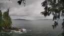 ./images/koeye/fitz-hugh/20260525/fitz-hugh20260525_103501M.jpg