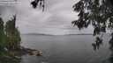 ./images/koeye/fitz-hugh/20260525/fitz-hugh20260525_104501M.jpg