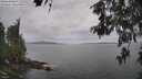 ./images/koeye/fitz-hugh/20260525/fitz-hugh20260525_113001M.jpg