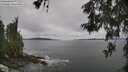 ./images/koeye/fitz-hugh/20260525/fitz-hugh20260525_120002M.jpg