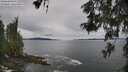 ./images/koeye/fitz-hugh/20260525/fitz-hugh20260525_121002M.jpg