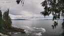 ./images/koeye/fitz-hugh/20260525/fitz-hugh20260525_132501M.jpg