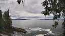 ./images/koeye/fitz-hugh/20260525/fitz-hugh20260525_134001M.jpg