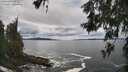 ./images/koeye/fitz-hugh/20260525/fitz-hugh20260525_135501M.jpg