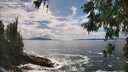 ./images/koeye/fitz-hugh/20260525/fitz-hugh20260525_153501M.jpg