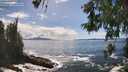 ./images/koeye/fitz-hugh/20260525/fitz-hugh20260525_155001M.jpg