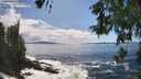 ./images/koeye/fitz-hugh/20260525/fitz-hugh20260525_155501M.jpg